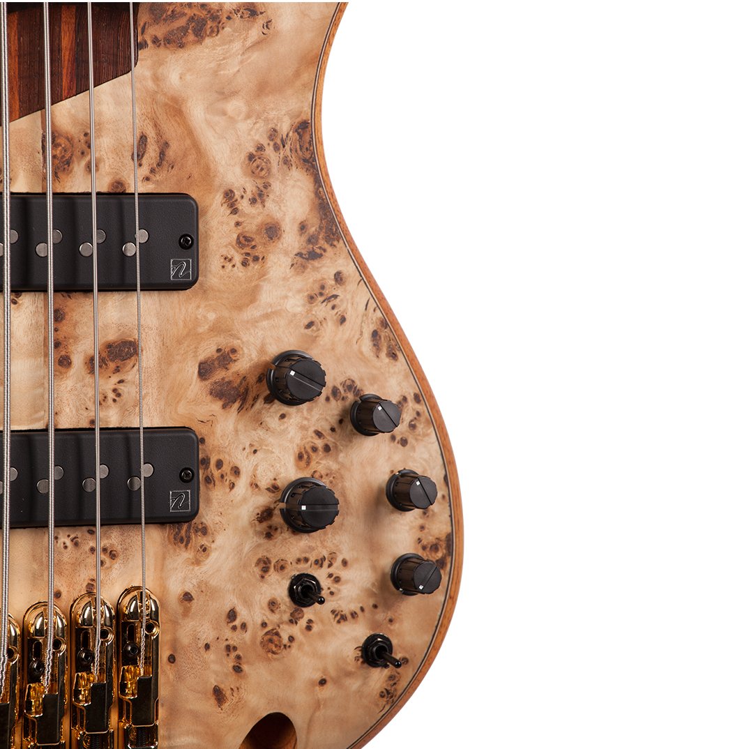 Ibanez SR1605 5-String Bass Guitar (Natural) : Amazon.in: Musical